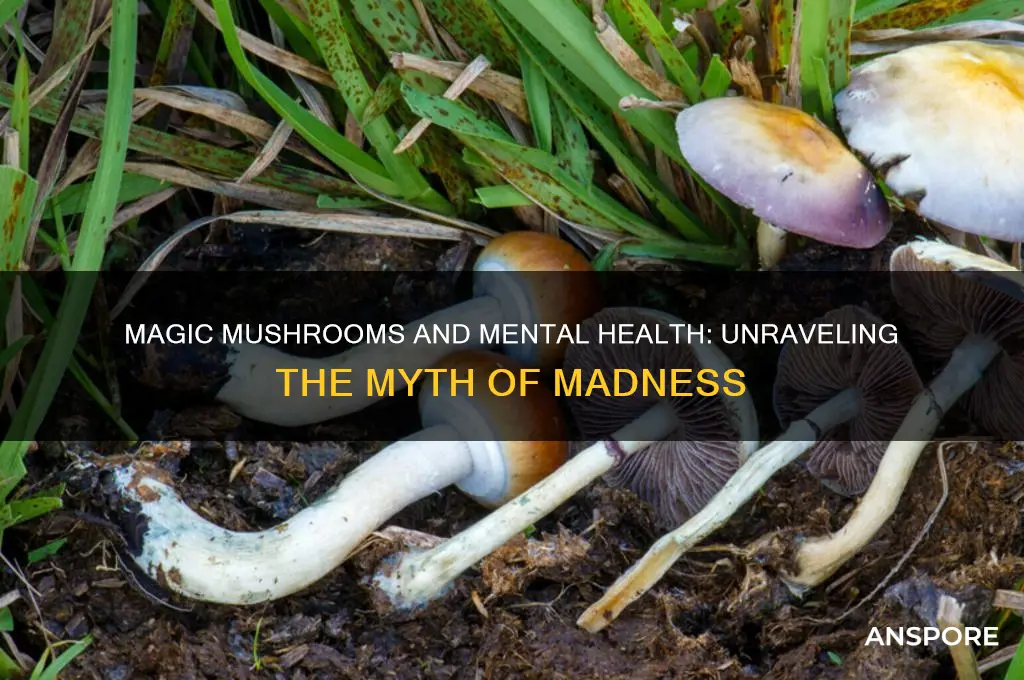 can magic mushrooms make you crazy