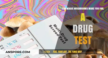 Magic Mushrooms and Drug Tests: Will Psilocybin Cause a Fail?