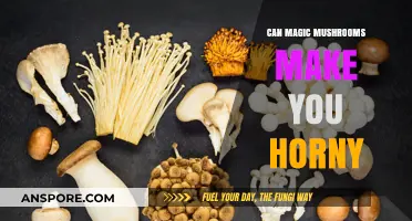 Magic Mushrooms and Libido: Exploring the Link to Sexual Arousal