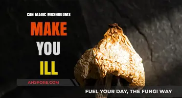 Can Magic Mushrooms Cause Illness? Exploring the Risks and Side Effects