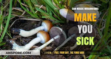 Magic Mushrooms and Health Risks: Can Psilocybin Cause Illness?