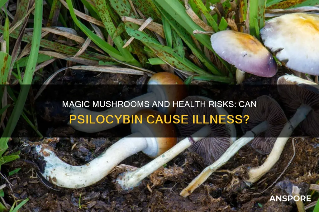 can magic mushrooms make you sick