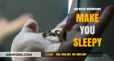 Do Magic Mushrooms Induce Sleepiness? Exploring Psilocybin's Effects on Rest