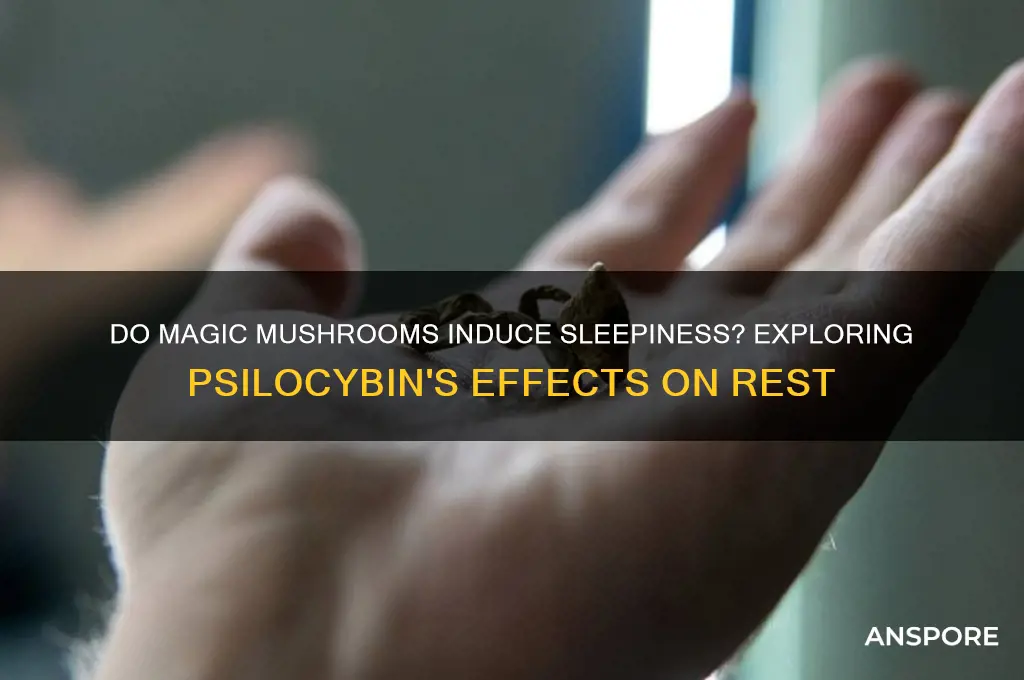 can magic mushrooms make you sleepy