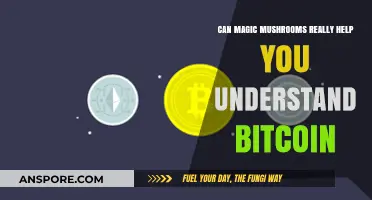 Magic Mushrooms and Bitcoin: Unlocking Crypto Insights Through Psychedelic Experiences