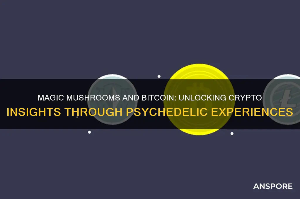 can magic mushrooms really help you understand bitcoin