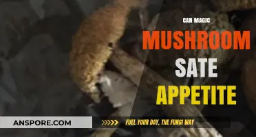 Magic Mushrooms and Appetite: Can Psilocybin Curb Hunger Naturally?