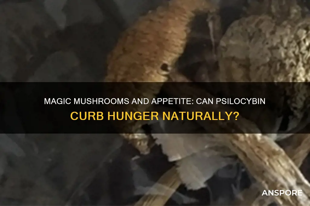 can magic mushrooms sate appetite