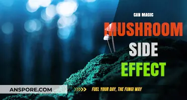 Exploring the Potential Side Effects of Magic Mushrooms: What to Know