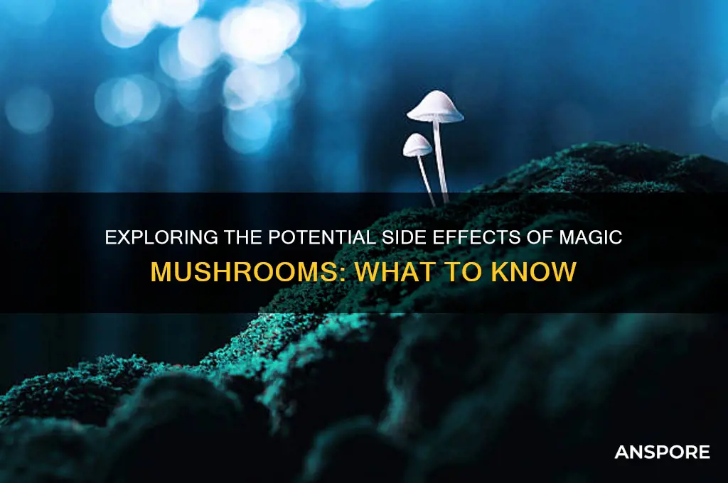 can magic mushrooms side effect