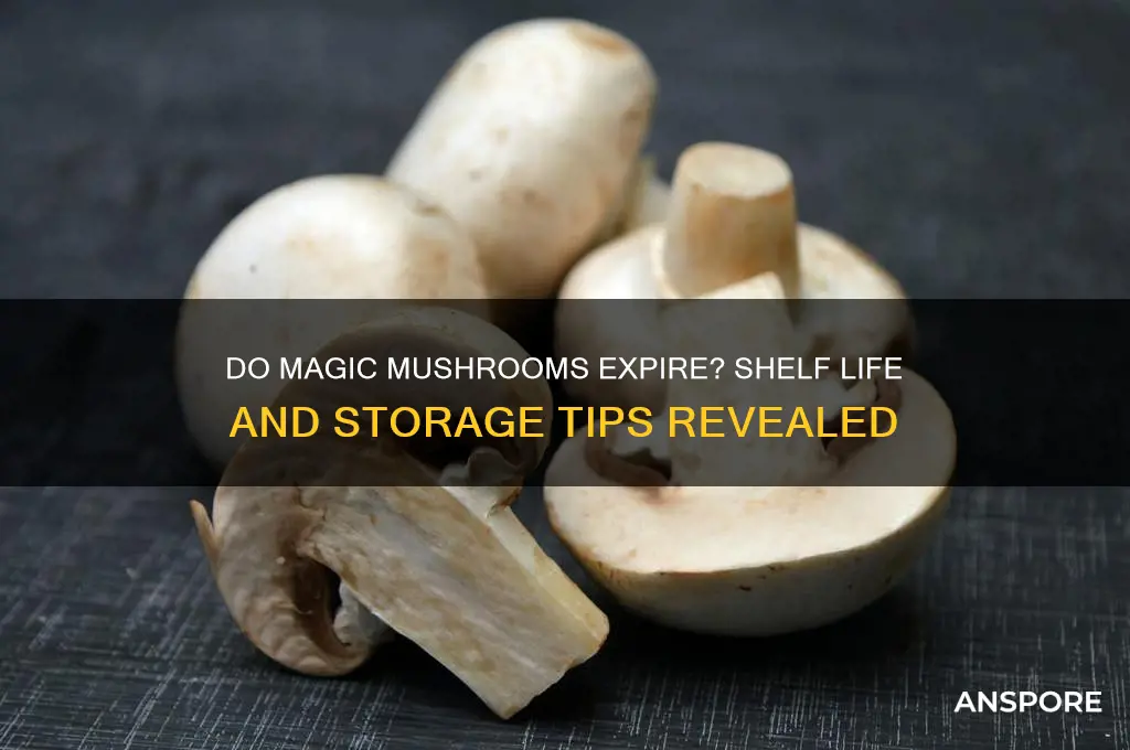 can magic mushrooms spoil