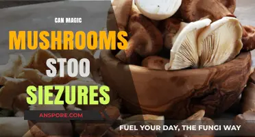 Magic Mushrooms: A Potential Breakthrough in Seizure Treatment?