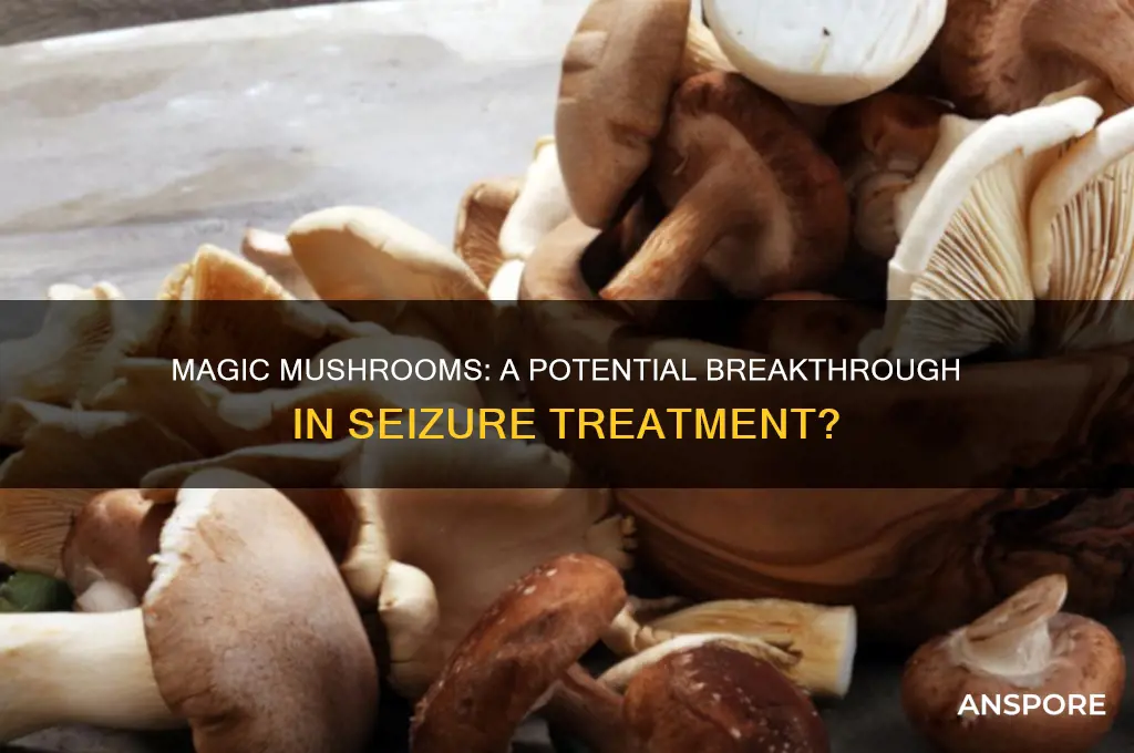 can magic mushrooms stoo siezures