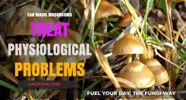 Magic Mushrooms: A Potential Treatment for Physiological Disorders?