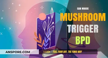 Magic Mushrooms and BPD: Exploring Potential Triggers and Risks