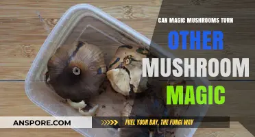 Can Magic Mushrooms Transform Ordinary Fungi into Psychedelic Varieties?