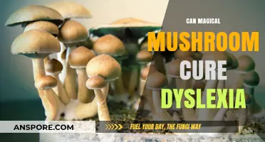 Magical Mushrooms: Unlocking Dyslexia Treatment Potential?