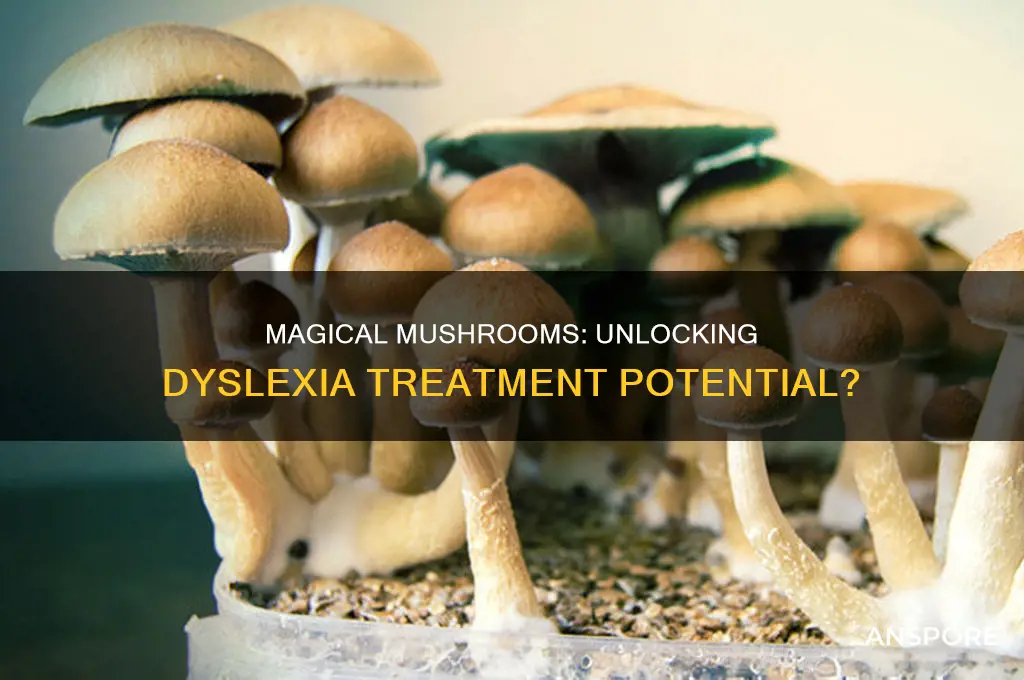 can magical mushrooms cure dyslexia