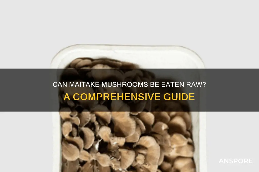can maitake mushrooms be eaten raw