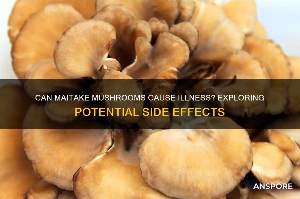 can maitake mushrooms make you sick