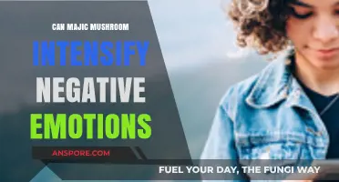 Magic Mushrooms and Emotional Intensity: Risks of Amplified Negative Feelings