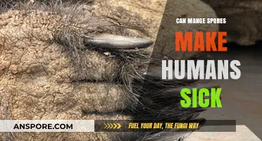 Can Mange Spores Infect Humans? Uncovering the Risks and Facts