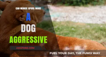 Mange Mites and Dog Aggression: Unraveling the Behavioral Connection