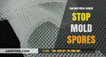 Prevent Mold Growth: Can Mattress Covers Block Spores Effectively?