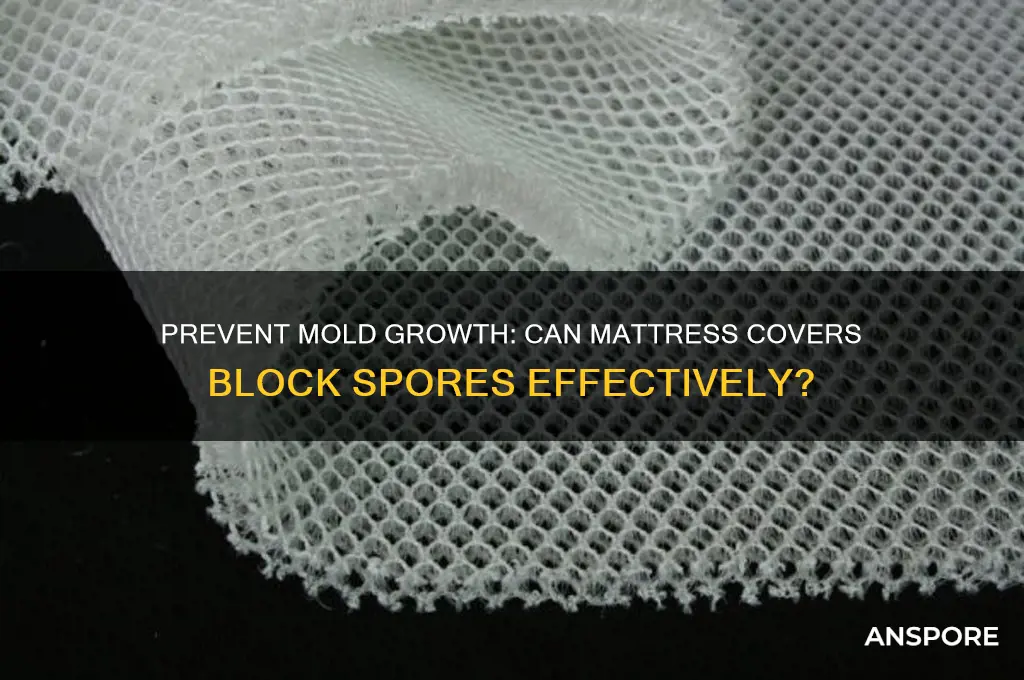 can mattress covers stop mold spores