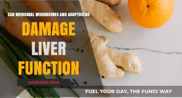 Medicinal Mushrooms and Adaptogens: Potential Risks to Liver Health?