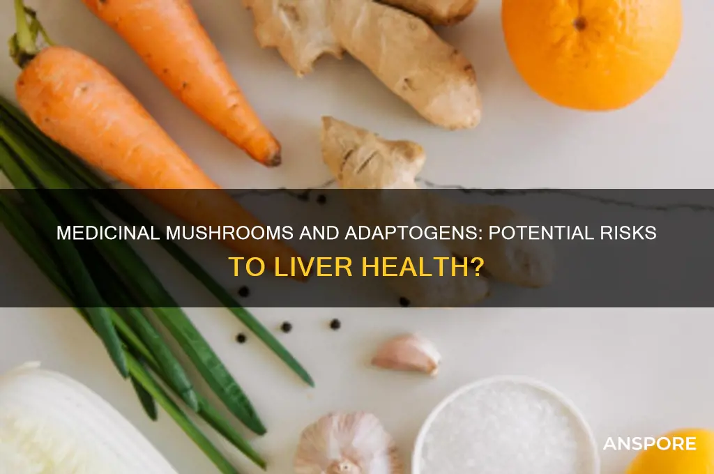 can medicinal mushrooms and adaptogens damage liver function