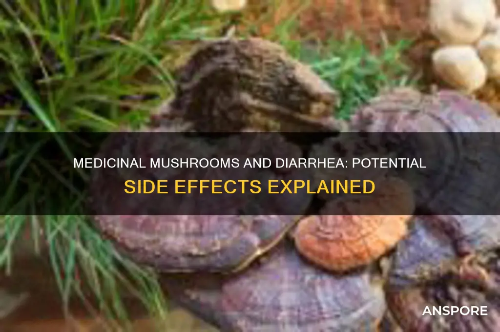 can medicinal mushrooms cause diarrhea