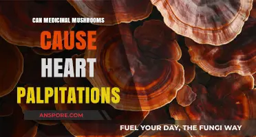 Medicinal Mushrooms and Heart Palpitations: Uncovering Potential Side Effects
