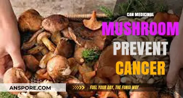 Medicinal Mushrooms: Unlocking Cancer Prevention Potential and Health Benefits