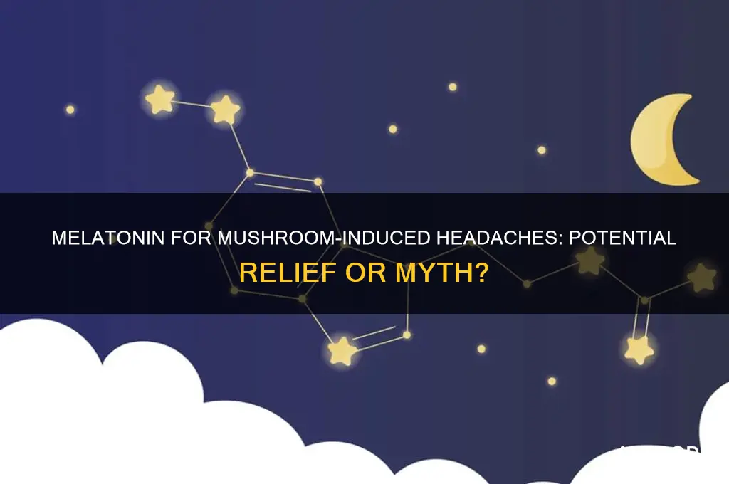 can melatonin help headache caused by mushrooms