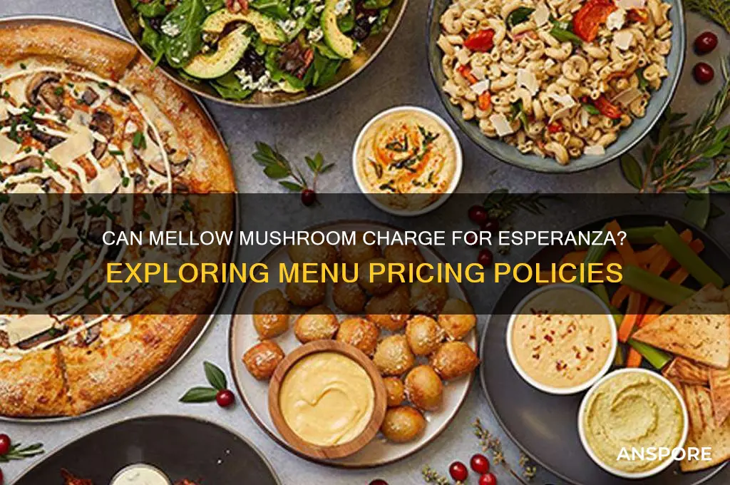 can mellow mushroom charge for esperanza