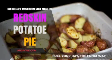 Reviving Mellow Mushroom's Redskin Potato Pie: Is It Still Possible?
