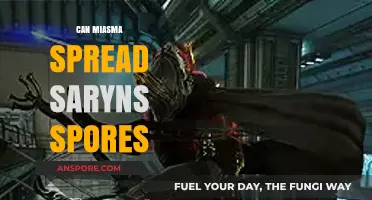 Miasma's Role in Spreading Saryn's Spores: Myth or Reality?