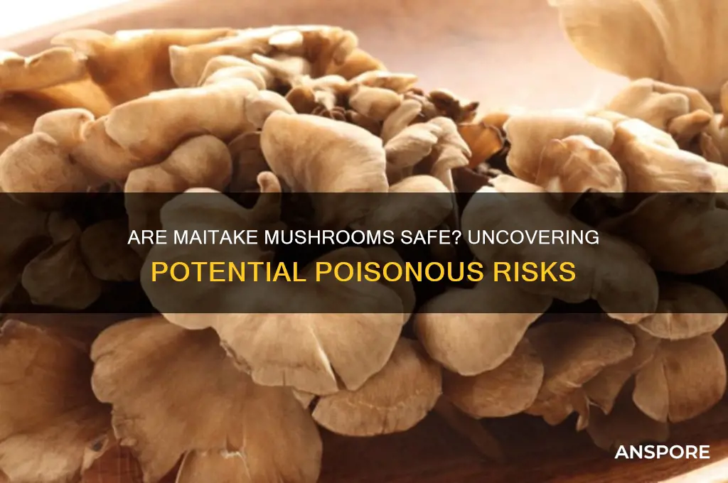 can miatake mushrooms be poisonous
