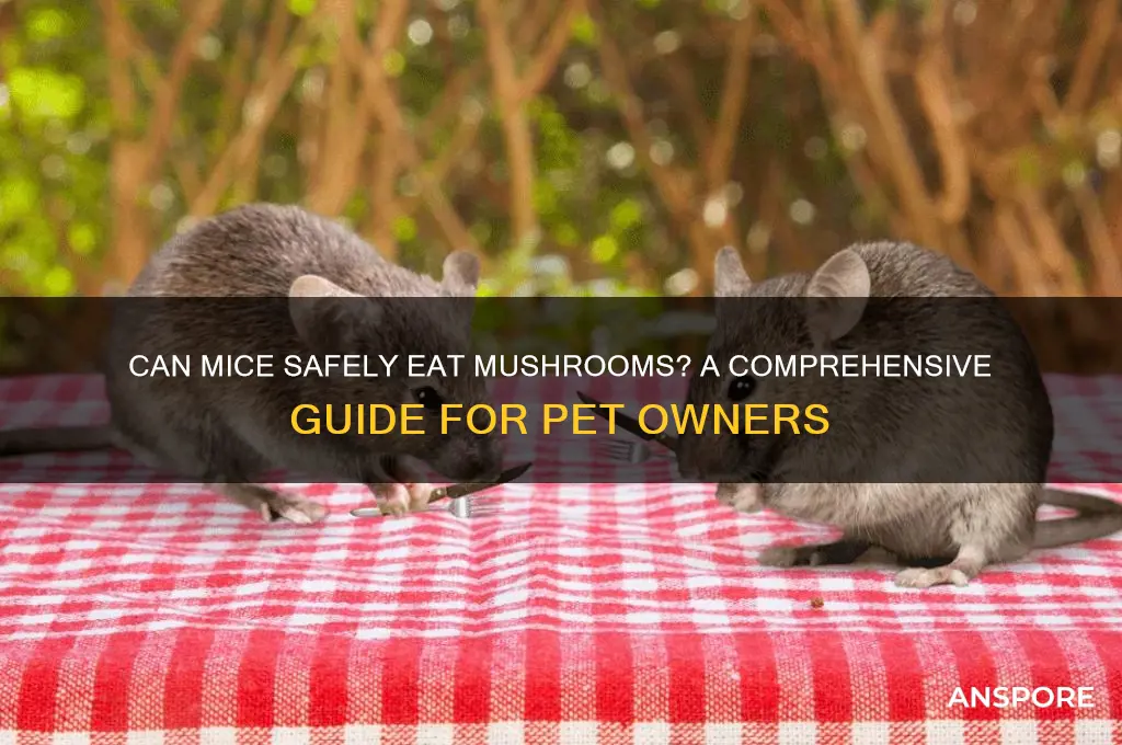 can mice eat mushrooms