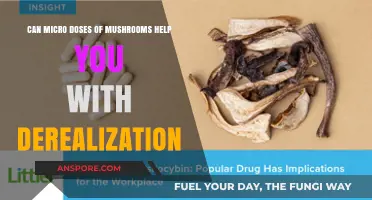 Microdosing Mushrooms: A Potential Aid for Derealization Symptoms?