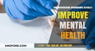 Microdosing Mushrooms: Unlocking Mental Health Benefits or Myth?