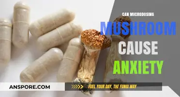 Microdosing Mushrooms and Anxiety: Potential Risks Explored