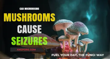 Microdosing Mushrooms and Seizure Risks: What You Need to Know
