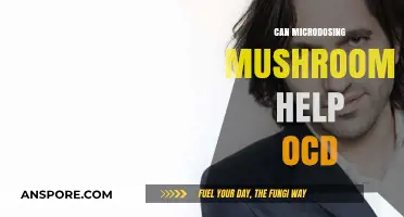 Microdosing Mushrooms for OCD: Potential Benefits and Risks Explored
