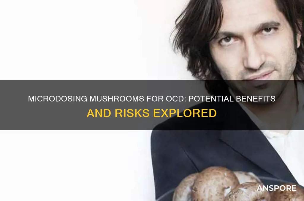 can microdosing mushrooms help ocd