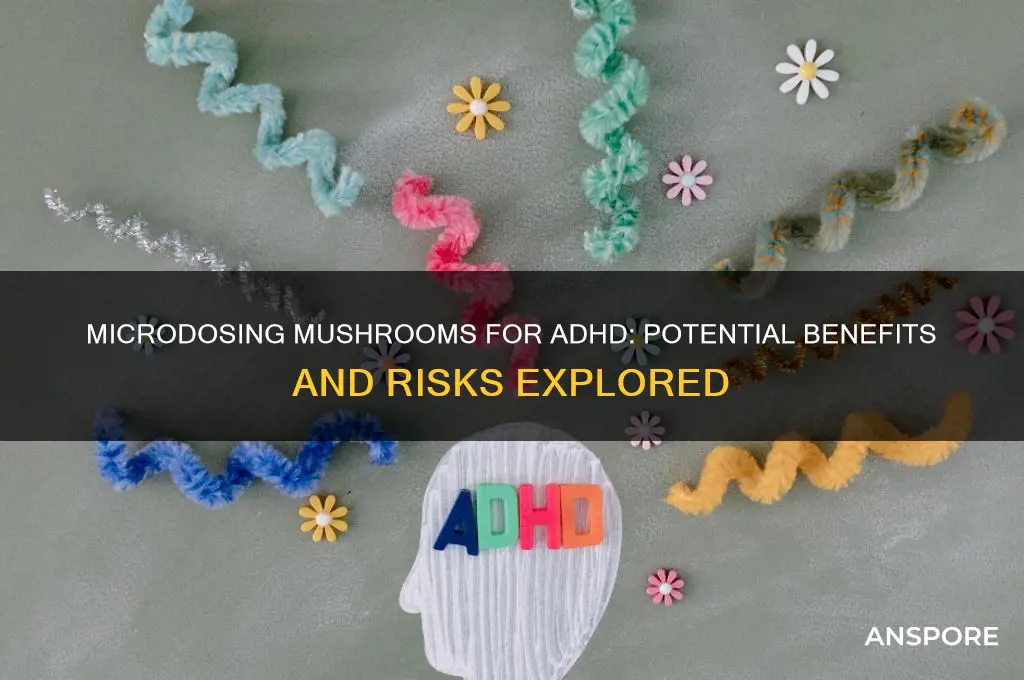 can microdosing with mushrooms help adhd