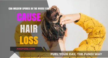 Mildew Spores in Your Home: Uncovering the Link to Hair Loss