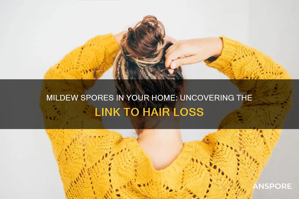 can mildew spores in the house can cause hair loss