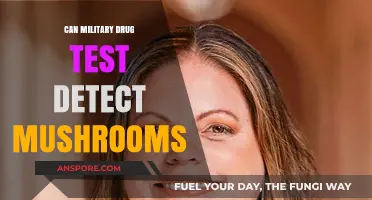 Can Military Drug Tests Detect Psilocybin Mushrooms? Facts Revealed